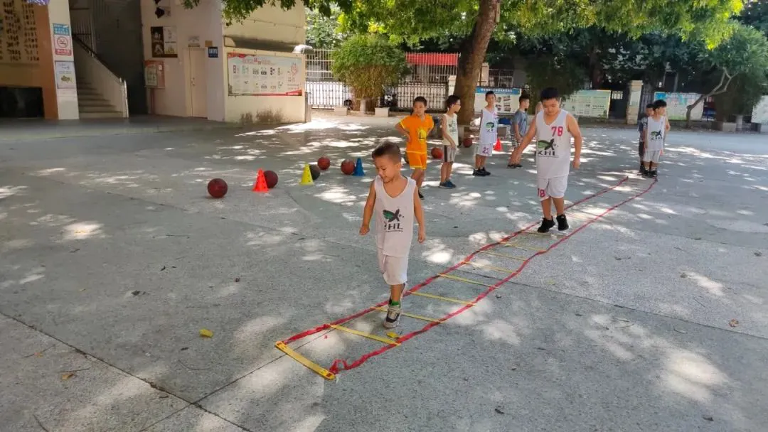 如何选择适合篮球康复训练的器材_0